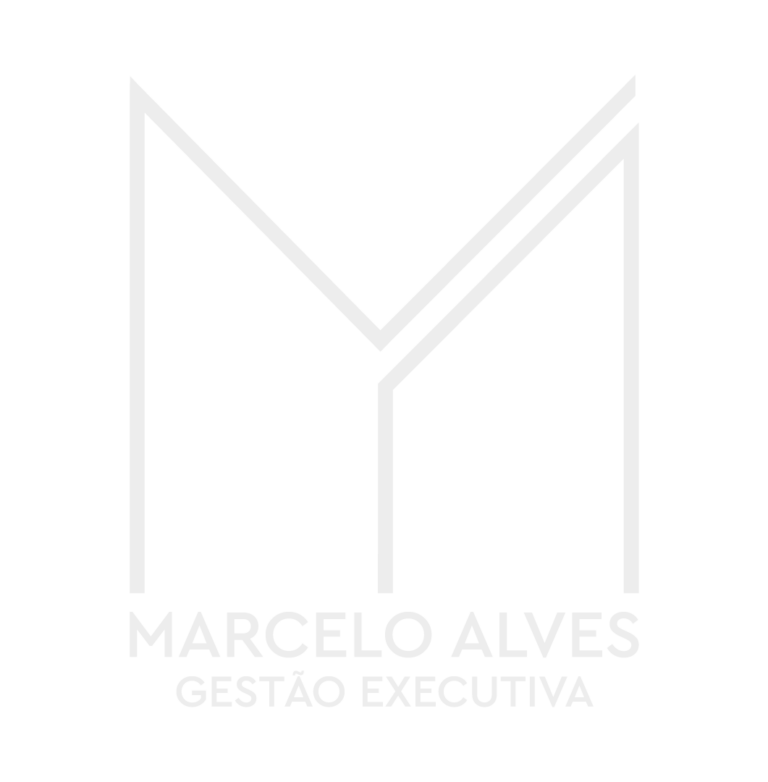 Ma_gestai_exec_2